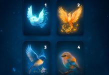 Der magische Vogel, der dich anzieht, wird dir positive Energie schenken, die dich in die Zukunft begleiten wird