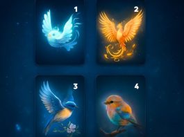 Der magische Vogel, der dich anzieht, wird dir positive Energie schenken, die dich in die Zukunft begleiten wird