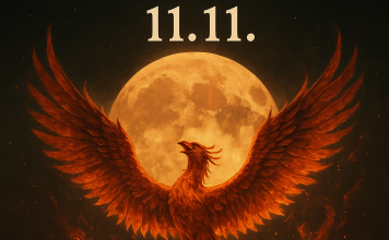 Das Schicksal wendet sich am 11. November: Ein Sternzeichen erhebt sich wie ein Phönix aus der Asche