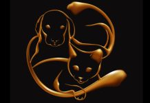 Katzen und Hunde sind von Natur aus empathisch – sie absorbieren negative Energien und schützen ihre Besitzer vor Krankheit und Depression