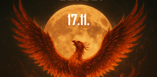 Das Schicksal wendet sich am 17. November: Ein Sternzeichen erhebt sich wie ein Phönix aus der Asche