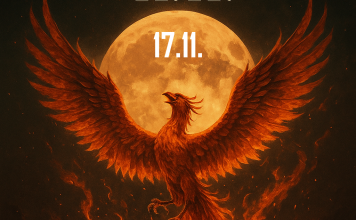 Das Schicksal wendet sich am 17. November: Ein Sternzeichen erhebt sich wie ein Phönix aus der Asche