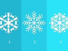 Die Schneeflocke, die dich anzieht, sagt viel darüber aus, wie du dein Leben gestaltest