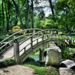 Die Brücke, die den Zorn heilte – Eine Geschichte, an die du dich erinnern solltest