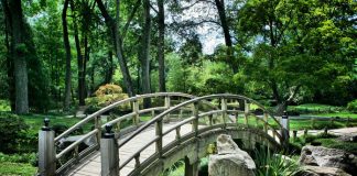 Die Brücke, die den Zorn heilte – Eine Geschichte, an die du dich erinnern solltest