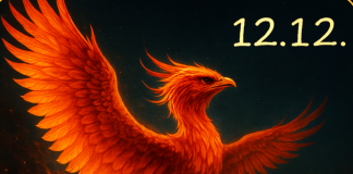 Das Schicksal wendet sich am 12. Dezember: Ein Sternzeichen erhebt sich wie ein Phönix aus der Asche