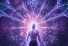 PORTAL 18/12: Für zwei Sternzeichen beginnt eine neue Ära