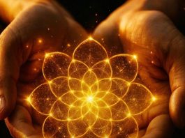 Dr. Frank Kinslow: „Dies ist ein Ort, an dem Sie ungeheure Energie schöpfen können!“