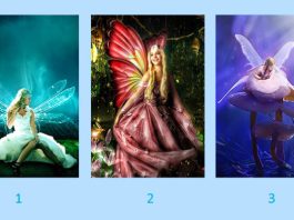 Test: Wähle deine Lieblingsfee und entdecke ihre Botschaft