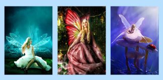 Test: Wähle deine Lieblingsfee und entdecke ihre Botschaft