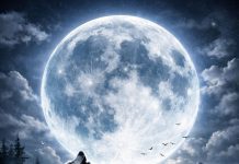 Wolfsmond 2026: Warum der erste Vollmond des Jahres alles in Bewegung bringt