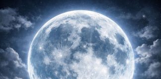 Wolfsmond 2026: Warum der erste Vollmond des Jahres alles in Bewegung bringt