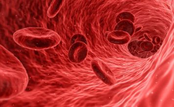 Ein Juwel der deutschen Volksmedizin: Traditionelles Getränk zur Stärkung von Herz, Gefäßen und Abwehrkräften