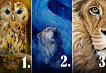 Wähle ein Tier und erhalte eine Botschaft für deine Seele