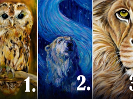 Wähle ein Tier und erhalte eine Botschaft für deine Seele