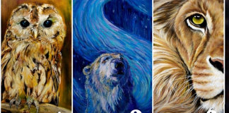 Wähle ein Tier und erhalte eine Botschaft für deine Seele