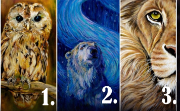 Wähle ein Tier und erhalte eine Botschaft für deine Seele