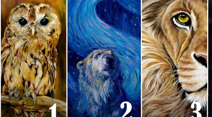 Wähle ein Tier und erhalte eine Botschaft für deine Seele