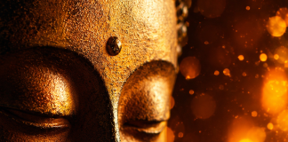 Bereue niemals die Vergangenheit – 10 Zen-Regeln, die dein Leben verändern werden