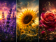 Die Blume, die dich inspiriert, sagt viel über deinen Charakter aus.