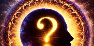 Diese eine Frage genügt, um den wahren Charakter eines Menschen zu enthüllen!