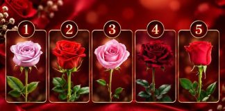 TEST: Wähle eine Rose und finde heraus, wann dein Wunsch in Erfüllung geht! 🌹✨