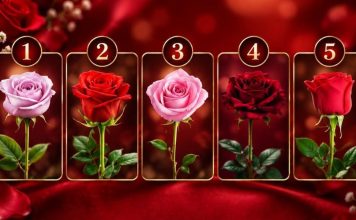 TEST: Wähle eine Rose und finde heraus, wann dein Wunsch in Erfüllung geht! 🌹✨